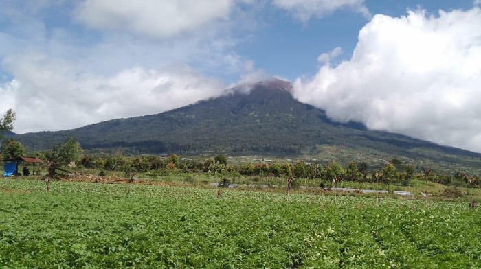 Kondisi Gunung Kerinci pada Sabtu (10/12/2022) siang, terlihat tidak erupsi lagi .Kondisi sudah terlihat normal setelah erupsi pada Selasa 6 Desember 2022 (Foto: Istimewa)