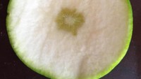 Salah memilih lemon, netizen ini dibuat kecewa setelah tiba di rumah. Lemon yang terlihat segar dan dipilihnya itu ternyata masih belum matang dan tak ada sedikit pun bagian yang bisa diperas. Foto: Brightside