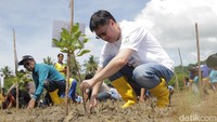 President Director Asuransi Astra, Rudy Chen menanam mangrove. Asuransi Astra berupaya menjaga dan merawat lingkungan serta aspek di dalamnya, aksi terakhir Estafet Peduli Bumi di Sumba dicanangkan dengan melakukan penanaman 3.000 bibit mangrove yang terletak di Pantai Kerewei Mananga, Sumba Barat.  