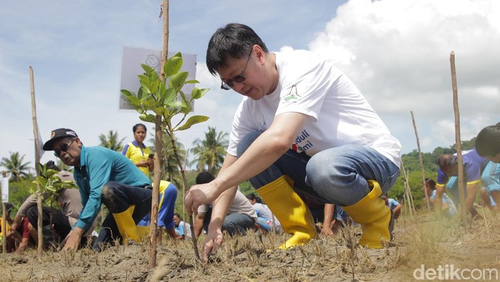 Dalam puncak rangkaian program Estafet Peduli Bumi tahun 2022, Asuransi Astra melanjutkan aksinya di Sumba. Salah satunya penanaman 3.000 pohon mangrove di Pantai Kerewei Mananga, Sumba Barat, Nusa Tenggara Timur, Sabtu (10/12/2022).