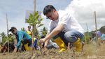 Upaya Menjaga Lingkungan Lewat Penanaman 3.000 Mangrove di Sumba