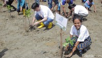 Pohon mangrove merupakan solusi penyerap karbon dioksida akibat emisi gas rumah kaca dan sebagai sumber oksigen yang baik serta upaya mitigasi bencana alam sekitar pantai akibat arus air laut. Estafet Peduli Bumi merupakan sebuah rangkaian kegiatan perwujudan aspirasi berkelanjutan yang digagas Asuransi Astra. Kegiatan ini dimulai pada 22 September 2022 dari kota Medan dan terus berlanjut di 6 kota lainnya selama tahun 2022 hingga finis di Sumba, NTT. 