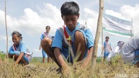 Kegiatan penanaman mangrove ini diikuti oleh berbagai elemen masyarakat termasuk siswa sekolah. Adapun beberapa program yang dilakukan dalam Estafet Peduli Bumi meliputi bidang pendidikan, kesehatan, lingkungan hidup dan kewirausahaan.