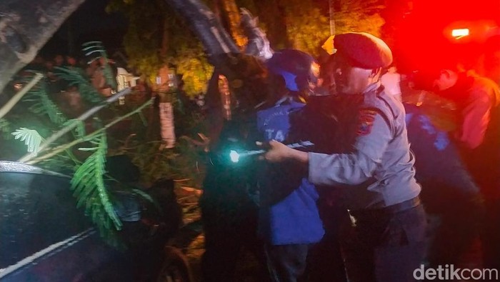 Pohon tumbang di Jember menimpa mobil menewaskan sang sopir
