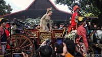 Erina lebih dulu menaiki kereta kuda.