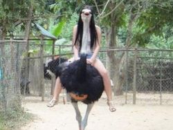 10 Momen Foto yang Bikin Orang Bertanya Kok Bisa?