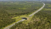 Jembatan penyeberangan di Jerman berada di atas sistem jalan motor Autobahn. Jembatan itu terlihat hijau oleh rumpu di atasnya.