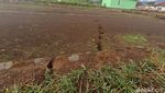 Potret Tanah Retak di Jalur Sesar Cugenang Cianjur