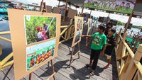 Ada 57 karya foto dokumentasi yang dipamerkan selama kegiatan mengedukasi pelestarian alam bersama Anak Sebangau serta Sebangau Ranger yang telah dibina oleh BNF.