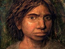 Riset Temukan DNA Denisovan Bantu Manusia Modern Bertahan Hidup