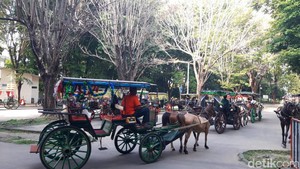 30 Andong Siap Antar Tamu Ngunduh Mantu Jokowi di Manahan