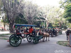 30 Andong Siap Antar Tamu Ngunduh Mantu Jokowi di Manahan
