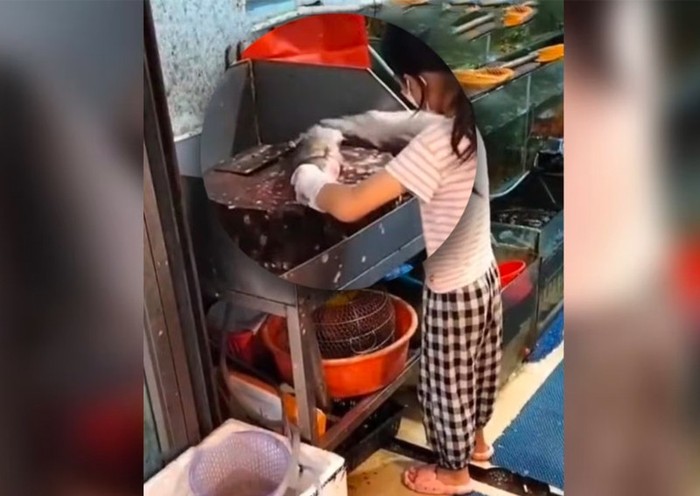 Salut! Bocah Penjual Ikan Ini Jago Bersihkan Sisik Ikan dalam Waktu Singkat