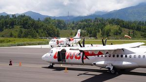 Trigana Air Ditembaki KKB, Wings Air Setop Sementara Penerbangan ke Dekai