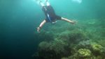 Menikmati Wisata Bawah Laut Wakatobi