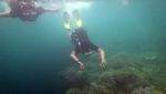 Menikmati Wisata Bawah Laut Wakatobi