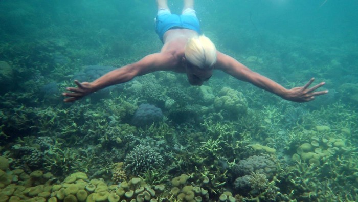 WISATA BAWAH LAUT WAKATOBI Wisatawan menikmati keindahan bawah laut di perairan Pulau Hoga, Wakatobi, Sulawesi Tenggara, Minggu (11/12/2022). Wakatobi memiliki sejumlah titik wisata bawah laut yang menarik wisatawan lokal maupun mancanegara diantaranya di perairan Pulau Wangi-Wangi, Kaledupa, Tomia, Hoga, dan Binongko. ANTARA FOTO/Indrianto Eko Suwarso/nz