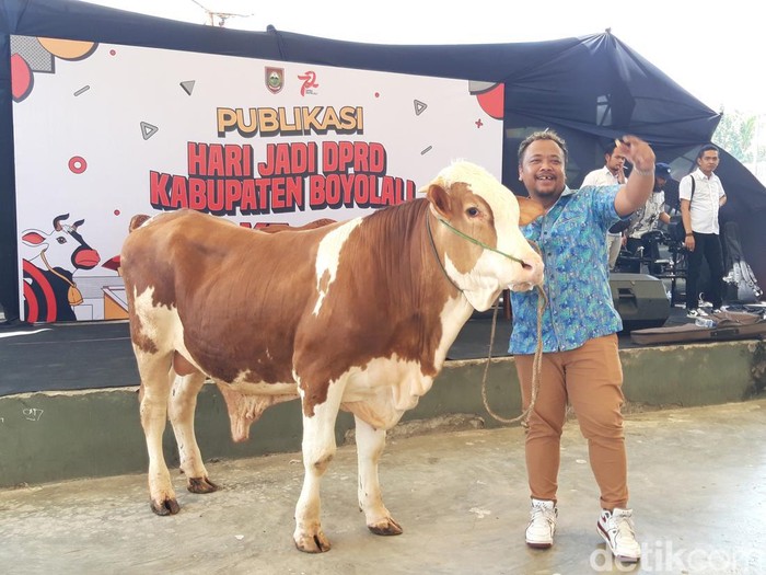 Abah Lala berpose bersama sapi metal jantan pemberian dari DPRD Boyolali, Senin (12/12/2022).