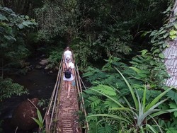 Air Terjun Leke-leke menjadi primadona para wisatawan mancanegara di Desa Mekarsari, Kecamatan Baturiti, Tabanan, Bali.Manajer Pengelola Air Terjun Leke-leke, Aris Wahyu mengatakan, hampir sebagian pengunjung air Leke-leke merupakan wisatawan asing. Ia memperkirakan sekitar 80 persen wisatawan asing di antaranya dari Eropa, Australia, Italia, dan beberapa India. (Foto: Chairul Amri Simabur/detikBali)