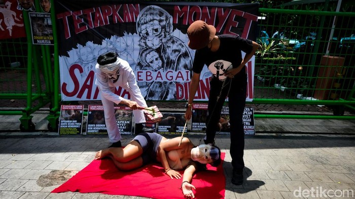Aksi Teatrikal Desak Pemerintah Tetapkan Monyet Jadi Satwa Dilindungi Massa Koalisi Primates Fight Back menggelar aksi teatrikal di depan kantor Kementerian Lingkungan Hidup dan Kehutanan (KLHK), Jakarta, Senin (12/12/2022).