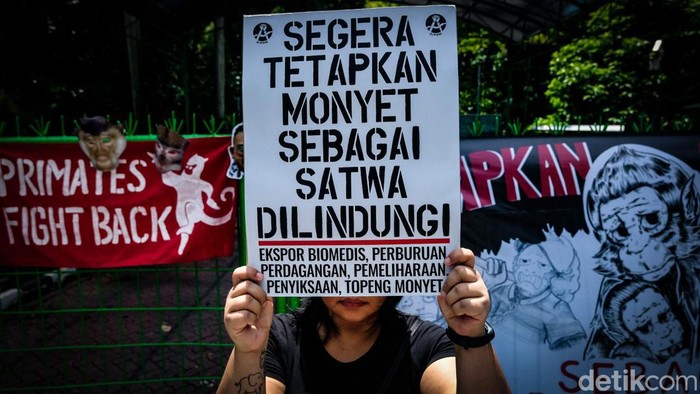 Massa Koalisi Primates Fight Back menggelar aksi teatrikal di depan kantor Kementerian Lingkungan Hidup dan Kehutanan (KLHK), Jakarta, Senin (12/12/2022).