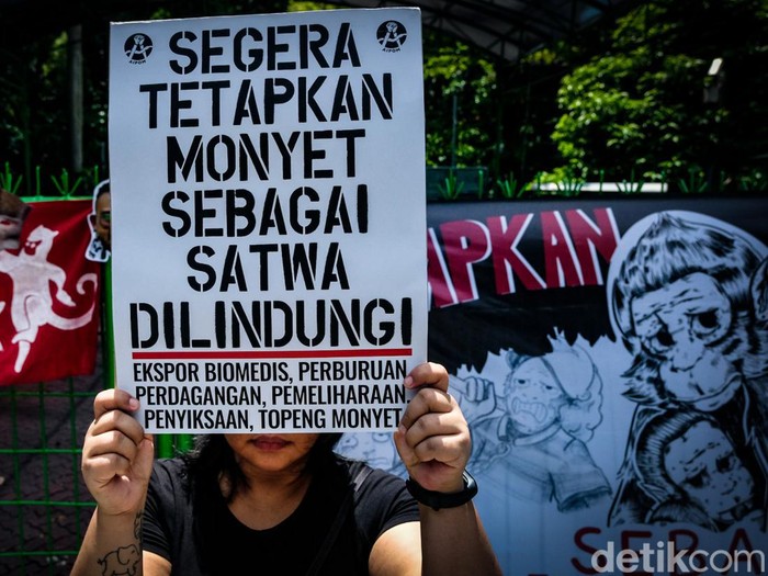 Massa Koalisi Primates Fight Back menggelar aksi teatrikal di depan kantor Kementerian Lingkungan Hidup dan Kehutanan (KLHK), Jakarta, Senin (12/12/2022).