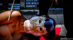 Aksi Teatrikal Desak Pemerintah Tetapkan Monyet Jadi Satwa Dilindungi