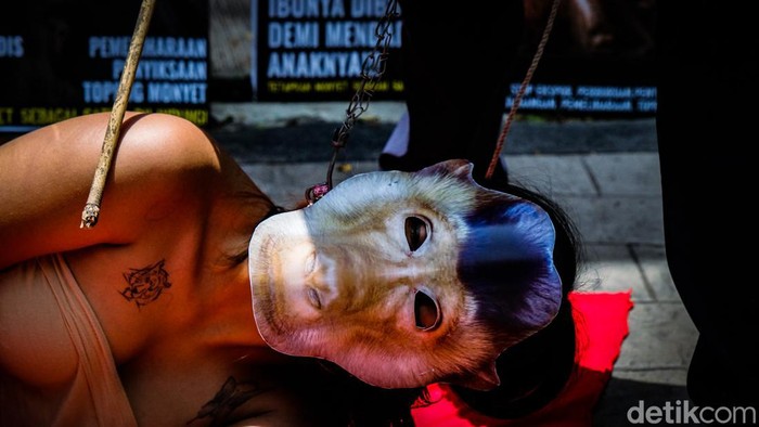Aksi Teatrikal Desak Pemerintah Tetapkan Monyet Jadi Satwa Dilindungi Massa Koalisi Primates Fight Back menggelar aksi teatrikal di depan kantor Kementerian Lingkungan Hidup dan Kehutanan (KLHK), Jakarta, Senin (12/12/2022).