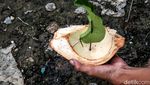 Bahagia Sederhana Anak-anak Kembangan Jakbar