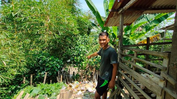 buaya bengawan solo