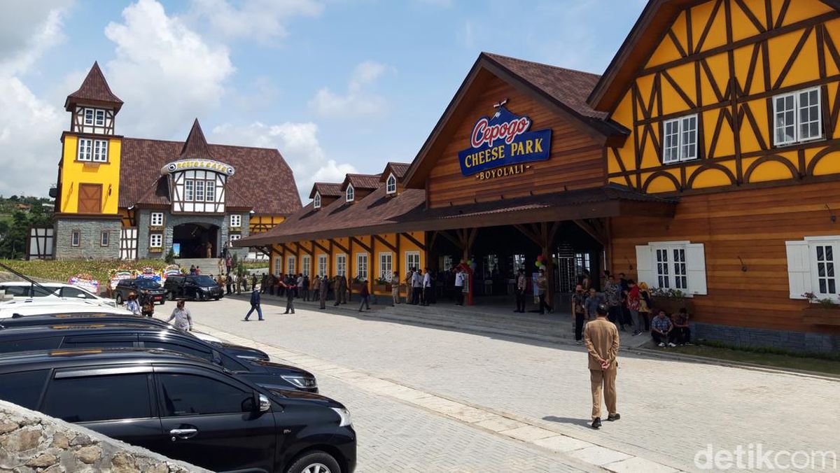 Cimory Bikin Cepogo Cheese Park di Boyolali, Ini Fasilitas dan Cimory Bikin Cepogo Cheese Park di Boyolali, Ini Fasilitas dan