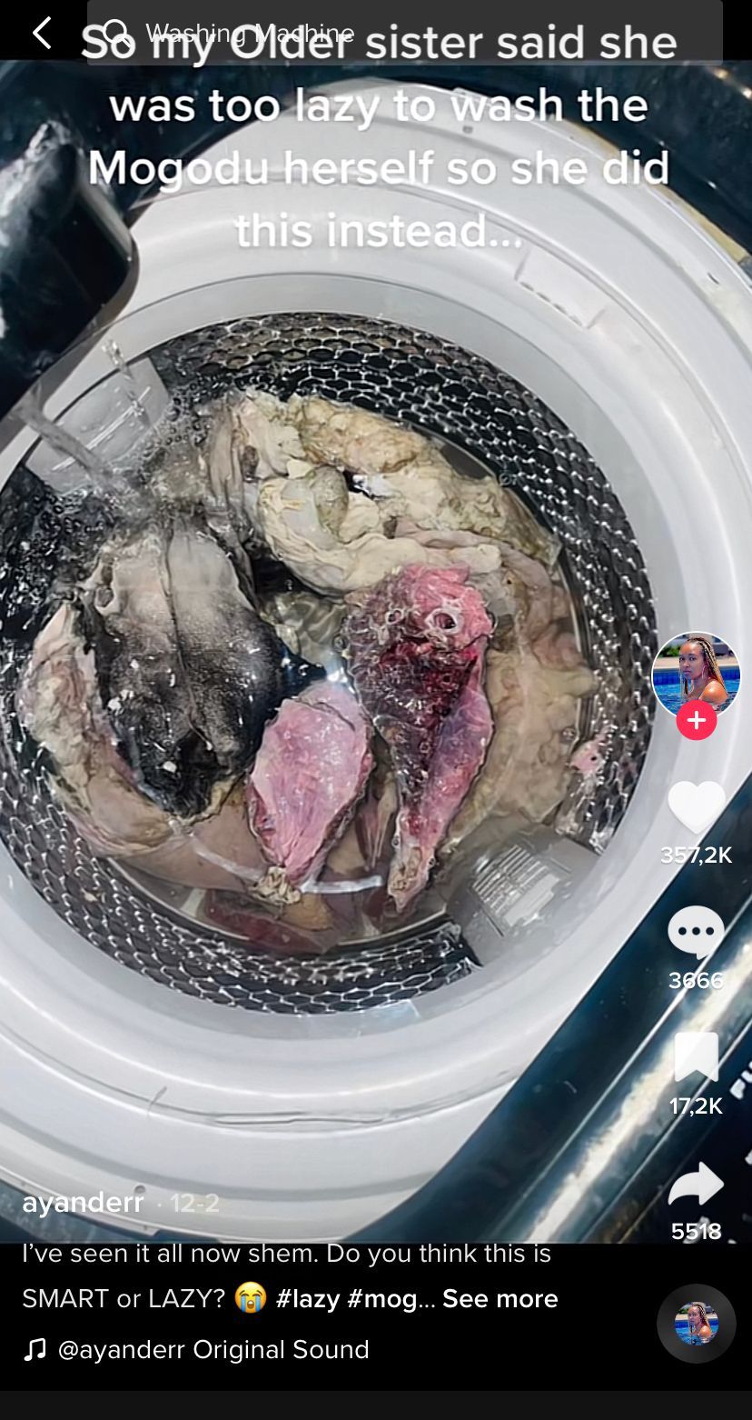 Cuci Jeroan dan Babat di Mesin Cuci, TikToker Ini Bikin Heboh