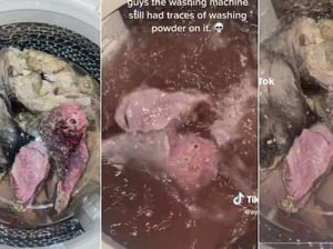 Cuci Jeroan dan Babat di Mesin Cuci, TikToker Ini Bikin Heboh