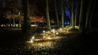 Penampakan instalasi lampu pada Festival Cahaya (Fete des Lumieres), di Lyon, Prancis timur tengah.