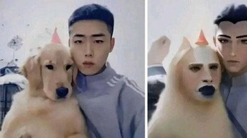 Anjingnya jadi mirip siapa ya.... Foto: Boredpanda