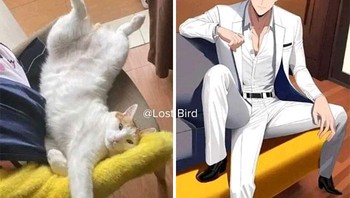 Kucing jadi pria berkaki tiga. Foto: Boredpanda