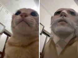 Saat Filter AI Manga Salah Edit Foto Bikin Ngakak Abis