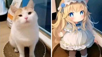 Kucing jadi Chibi. Foto: Boredpanda