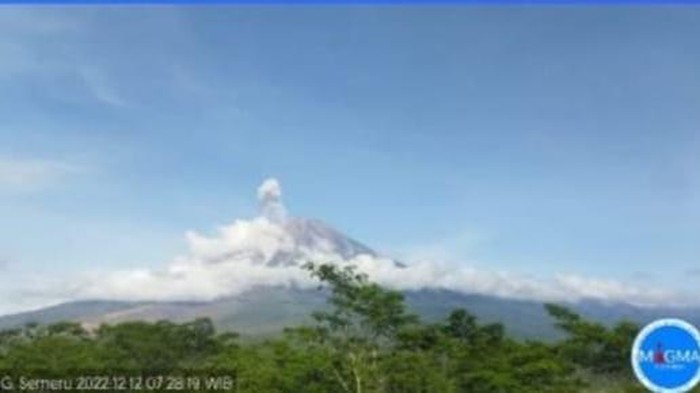 Gunung Semeru kembali erupsi pukul 07.27 WIB Senin (12/12/2022). Tinggi kolom abu sekitar 500 meter di atas puncak Mahameru.