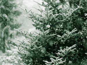 Lirik Baritahon di Dolok Kidung Natal yang Dinyanyikan Orang Batak