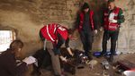Potret Pilu Beruang di Albania, 20 Tahun Jadi Korban Eksploitasi Restoran