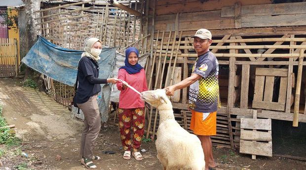 Berkat donasi dari sahabat baik, Abah Taryo bisa membeli domba untuk memulai usahanya. Donasi tersebut juga digunakan untuk membantu kehidupan Abah Taryo.