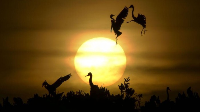 Lanskap matahari terbenam memiliki pesona tak terbatas. Berikut deretan foto-foto sunset Indonesia yang mungkin belum pernah Anda lihat.