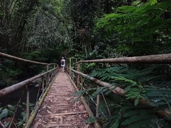 Untuk bisa menjumpai air terjun Leke-leke, pengunjung mesti melalui jalan setapak tanah yang berkelak-kelok. Bisa dibilang, untuk sampai ke lokasi air terjun, pengunjung mesti tracking. Jadi perlu usaha juga untuk menjangkau air terjun itu.Selama perjalanan menuju lokasi air terjun, pengunjung akan melalui suasana tegalan yang masih hijau dan berhawa sejuk.Perjalanan mendekati air terjun Leke-leke akan disambut dengan jembatan bambu. Setelah melalui jembatan itu dan melalui jalan setapak yang sedekit menanjak, pemandangan air terjun dengan suaranya yang deras akan terlihat dan terdengar. (Foto: Chairul Amri Simabur/detikBali)