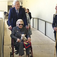 Kakek buyut Abigail, James Campbell adalah seorang pria kaya raya asal Irlandia yang memiliki perkebunan gula dan pemilik tanah terbesar di Hawaii.Foto: dok. AP