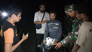 2 Pria Bawa Ganja 1 Kg Ditangkap Aparat Gabungan di Perbatasan Papua Nugini