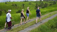 Turis berjalan di dekat sawah yang diairi oleh sistem teras tradisional yang disebut subak di Jatiluwih di Tabanan.