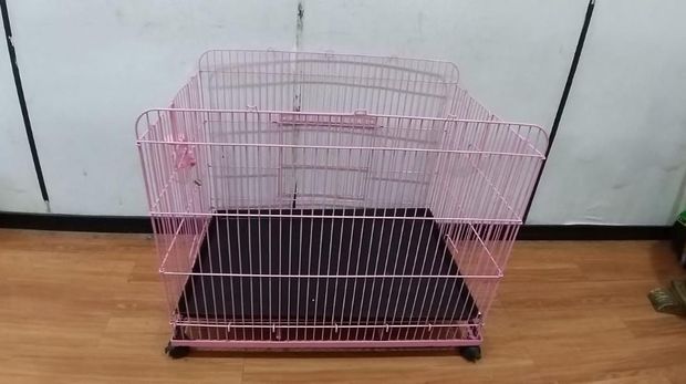 Barang bukti kasus penganiayaan ART oleh majikannya (Dok istimewa)