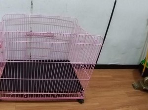 Fakta Terbaru ART Disiksa Majikan, Rantai dan Kandang Anjing Saksi Bisu