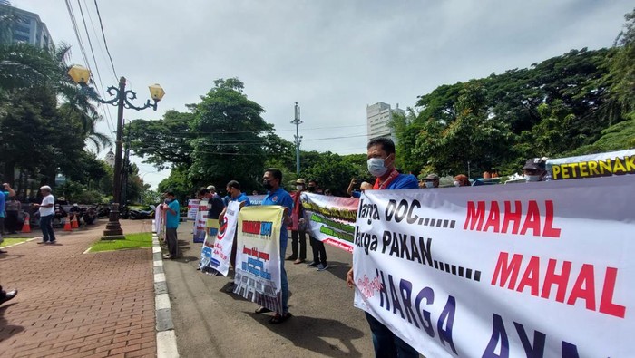 Kemenko Perekonomian Terima 5 Perwakilan Aksi Demo Peternak, Ini Hasilnya Kemenko Perekonomian Terima 5 Perwakilan Aksi Demo Peternak, Ini Hasilnya